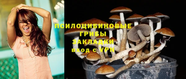 кокс Армянск