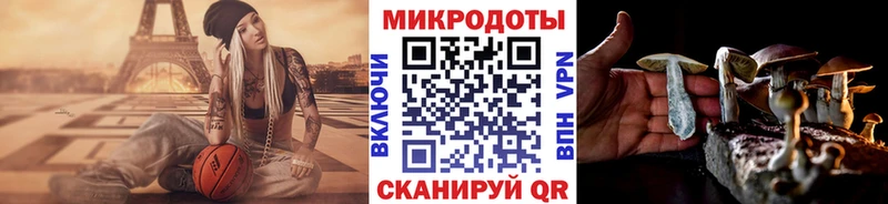 Галлюциногенные грибы GOLDEN TEACHER Барыш
